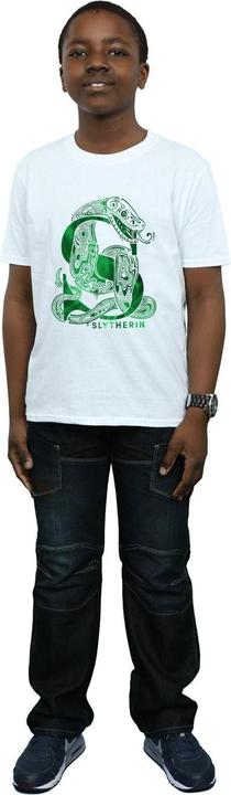 Image du produit - T-shirt SLYTHERIN SNAKE - Garçon (152, 158)