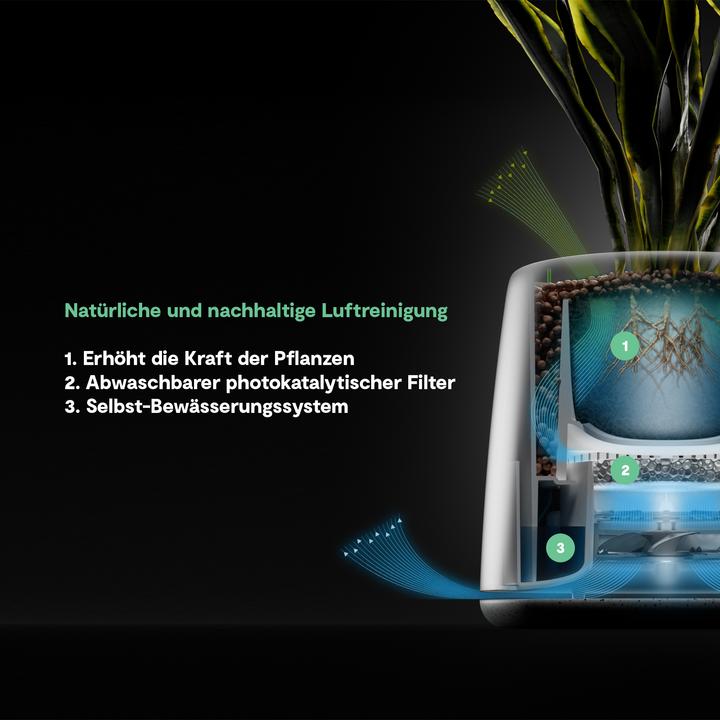 Produktbild Vitesy Natede Smart (20 m²)