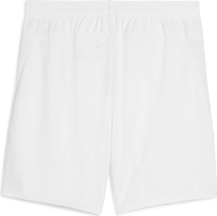 Puma teamCUP Shorts