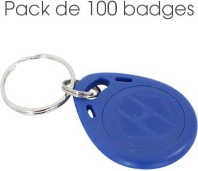 Immagine prodotto Grandstream GDS TFE RFID Fob bundle 10 pezzi