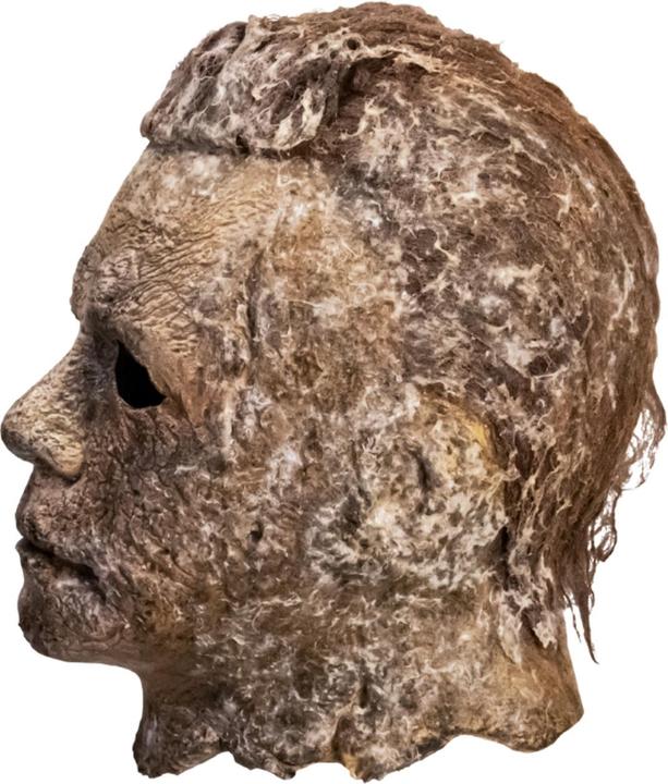 Actual product image Trick or Treat Studios Halloween Ends "Latex Mask Michael Myers" 1/1 replica