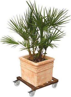 Actual product image Wagner System Multi Roller Giant 45x45cm