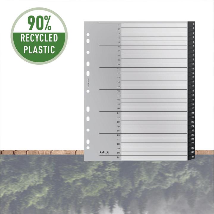 Actual product image Leitz Register Recycle 1-31