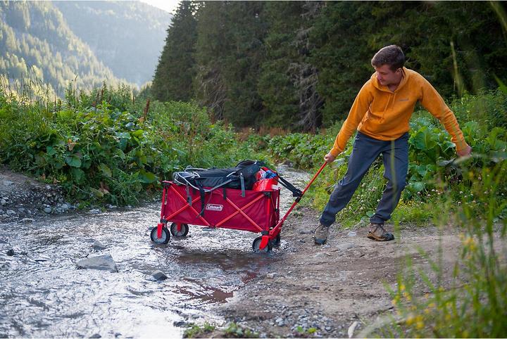 Actual product image Coleman Ladder trolley