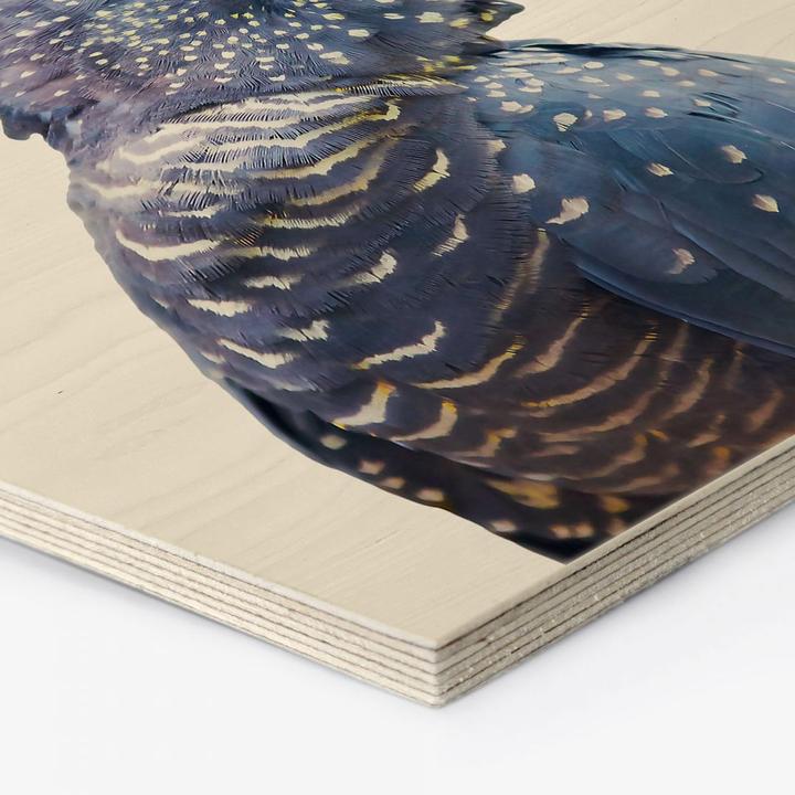 Immagine prodotto Trenddeko Cacatua blu (25 x 22 cm)