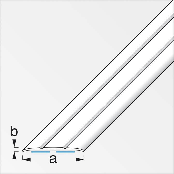 Actual product image Alfer Transition profile aluminium 1m