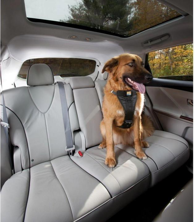 Produktbild Kurgo Tru-Fit (L, Hund, Allgemein)