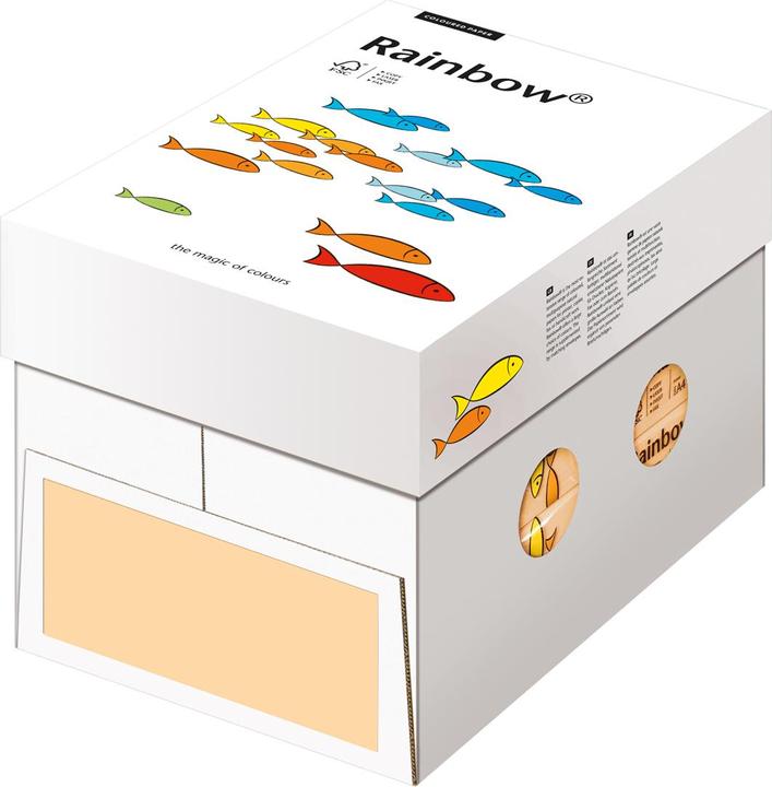 Produktbild Rainbow Kopierpapier farbig (80 g/m², 500 x, A4)