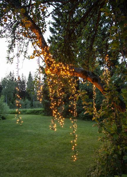 Actual product image Star Trading LED golden warmwhite, light chain, 540 LEDs (10.80 m)