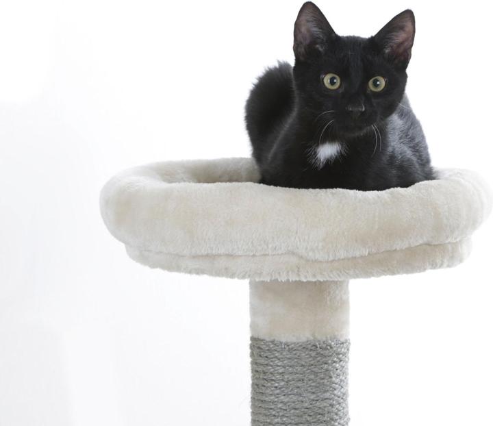 Actual product image Kerbl Scratching post Creativ Adventure (150 cm, Brown)