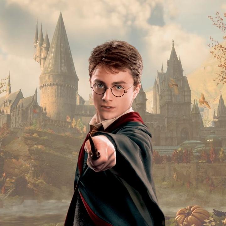 Actual product image Noble Collection Harry Potter's Wall Wand