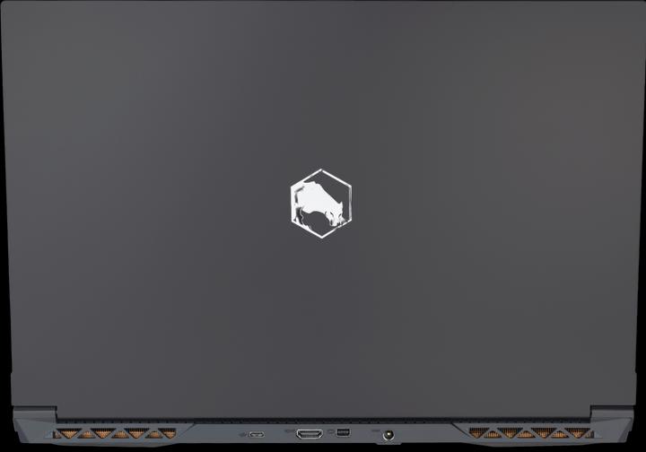 Actual product image Joule Performance ARGOS 15 RTX3060 I7 (15.60", Intel Core i7, 16 GB, DE)