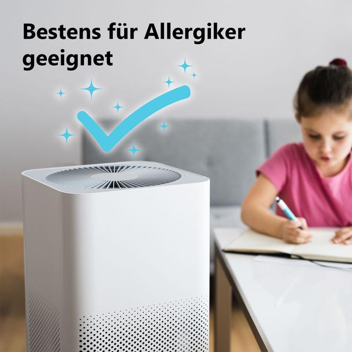 Immagine prodotto Hermex Filtro alternativo ai carboni attivi per il depuratore d'aria Xiaomi Mi 2 (1 x)