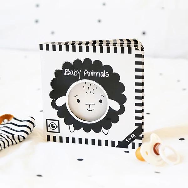 Produktbild Baby Animals (Englisch)