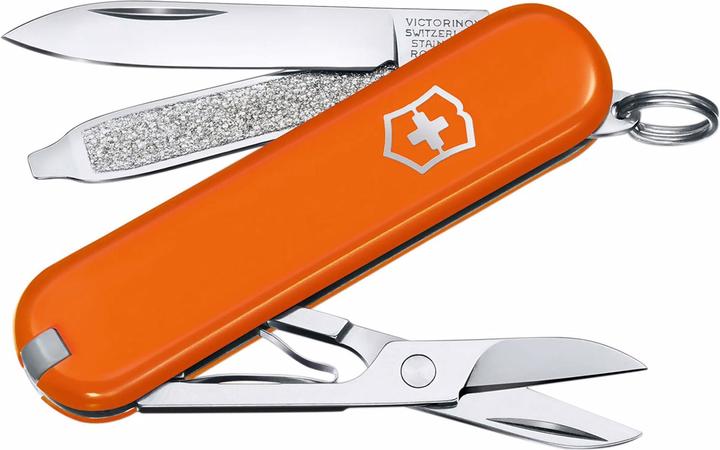 Actual product image Victorinox Cellidor