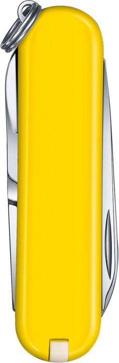 Actual product image Victorinox Classic SD