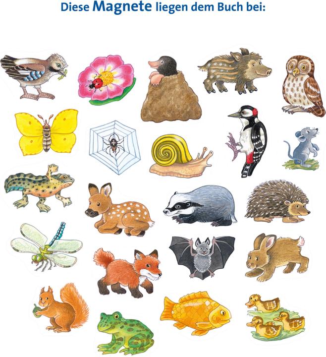Image du produit Ravensburger Mein grosses Magnetbuch: Wer wohnt wo? (Allemand)