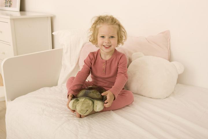 Actual product image Cloud B Twilight Turtle