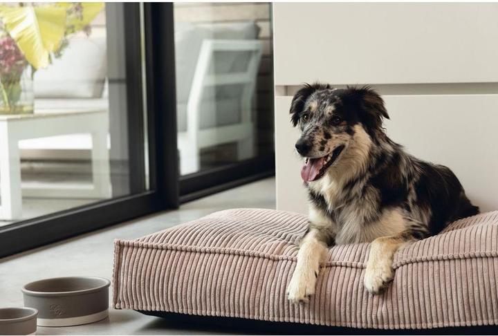 Image du produit Designed by Lotte Ribbed (Chien)