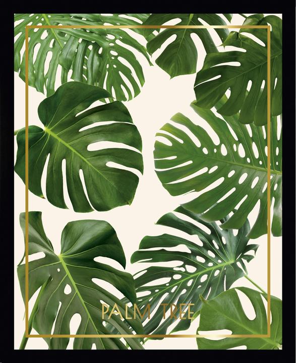 G&C Gallery Palm Leaves 6 (40 x 30 cm)