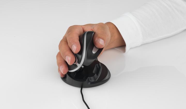 Actual product image Bakker Elkhuizen Oyster (Cable)