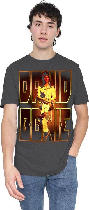 Actual product image David Bowie Unisex Adult Perched T-Shirt (XL)
