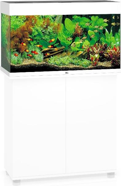 Produktbild Juwel Aquarium Rio (125 l)
