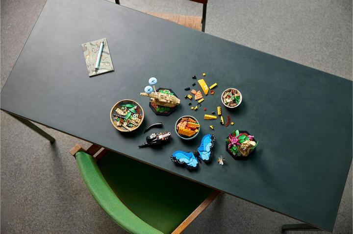 Immagine prodotto LEGO Idee La collezione di insetti (21342, LEGO Ideas)