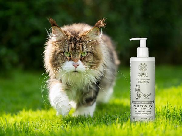 Actual product image Wilda Siberica shampooing SHED CONTROL, 5 l (5000 ml, Liquid shampoo)