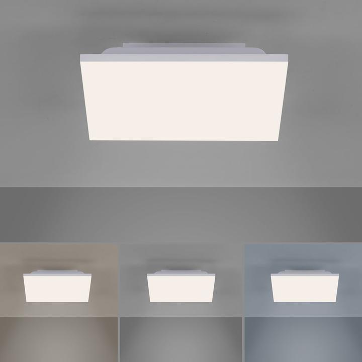 Actual product image Paul Neuhaus canvas (1800 lm)