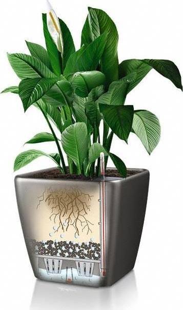 Produktbild Lechuza Quadro Ls (22.50 cm)