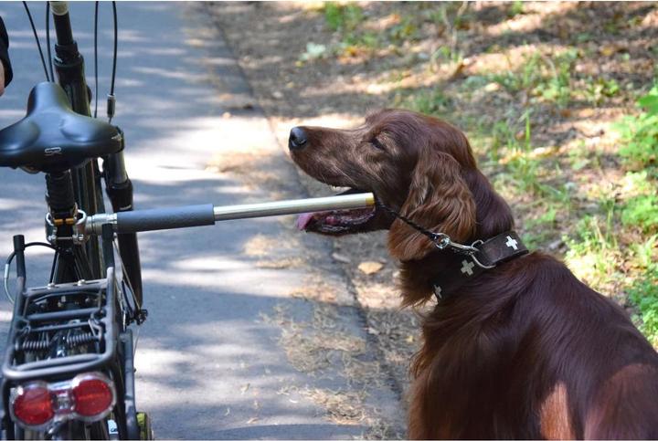 Immagine prodotto Dobar In più (Taglia unica, Cane, Passeggiare, Moto)