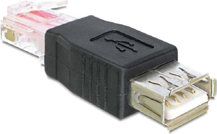 Delock USB socket > RJ45 plug (0.06 m, USB 2.0)