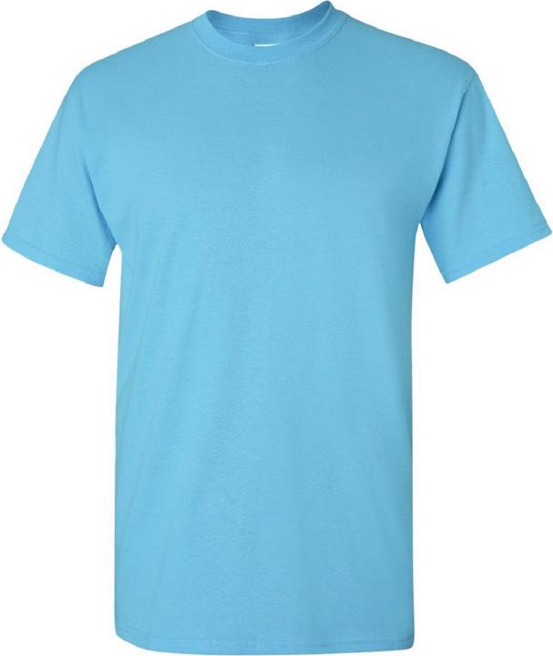 Gildan Tshirt (S)