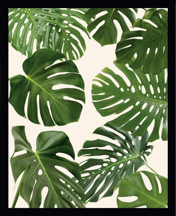 G&C Gallery Palm Leaves 4 (40 x 30 cm)