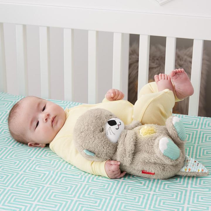 Immagine prodotto Fisher-Price Lontra di sonno (20.30 cm)