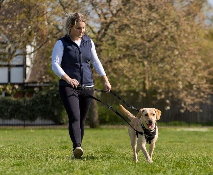 Immagine prodotto Company of Animals Imbracatura Halti No Pull Anti-pull M (M, Cane, Generale)