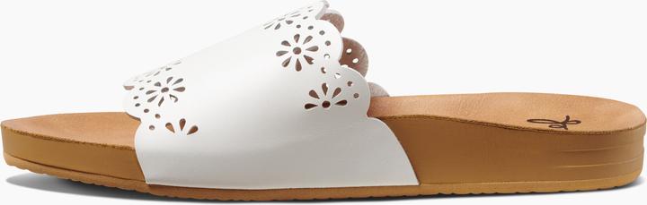 Immagine prodotto Reef Cushion Scallop Scout (40)