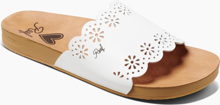 Immagine prodotto Reef Cushion Scallop Scout (40)