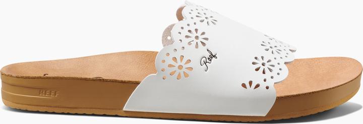 Immagine prodotto Reef Cushion Scallop Scout (40)