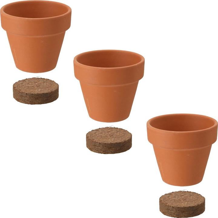 Produktbild ProGarden Mini Gewächshaus mit Anzuchtset - Tomate, Erdbeer und Chilis