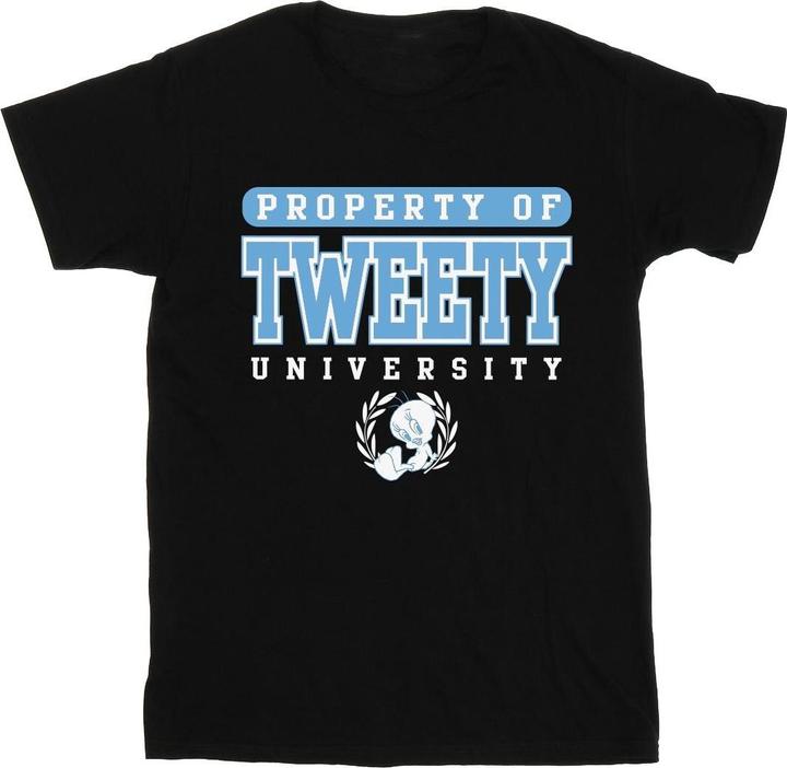 Image du produit Looney Tunes - T-shirt TWEETY PROPERTY OF UNIVERSITY - Homme (3XL)