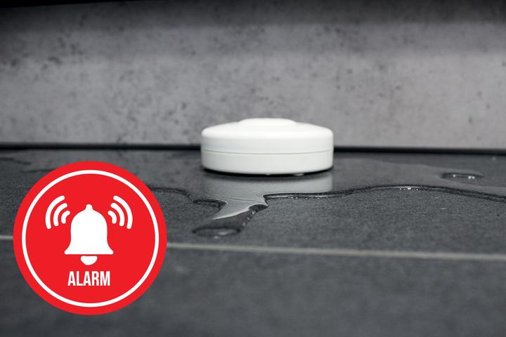 Actual product image As - Schwabe Water detector