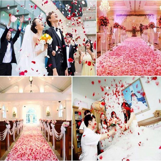 Actual product image MU Style Rosa Series artificial rose petals (set of 3000)
