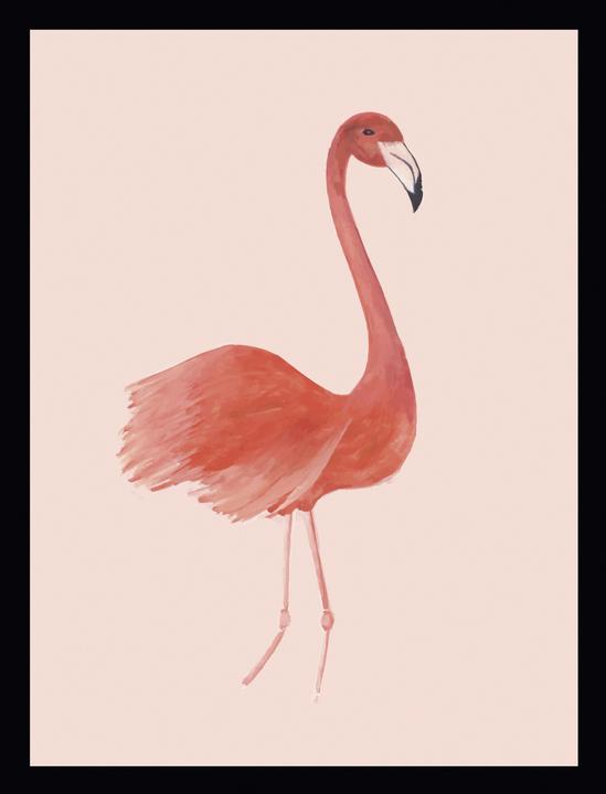G&C Gallery Flamingo (40 x 30 cm)