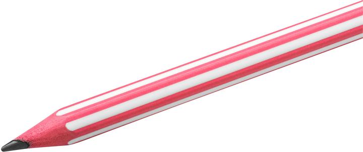 Actual product image Bic Evolution Stripes (2 mm, HB, 12 x)