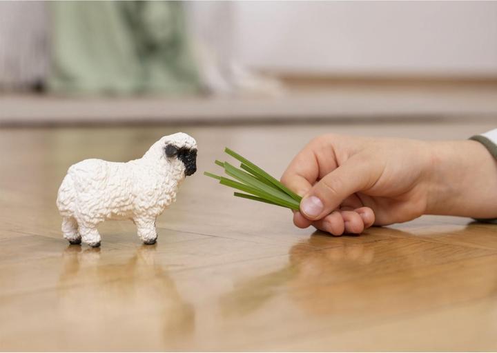 Actual product image Schleich Valais black-nosed sheep