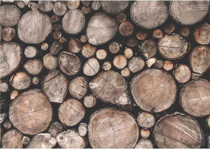 Immagine prodotto Trenddeko Pellicola per mobili, pellicola decorativa - pulibile - legno 08 (100 x 70 cm)