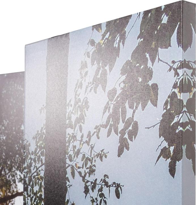 Immagine prodotto Mendler Foto Paravent con isolamento acustico HWC-L55, schermo per la privacy, 180x162cm Waldsee
