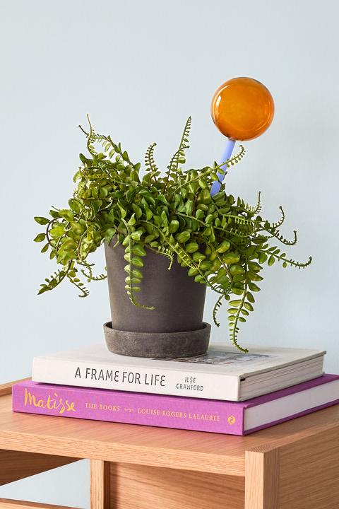 Produktbild Hübsch Flora Aqua globe (Bewässerungskugeln)